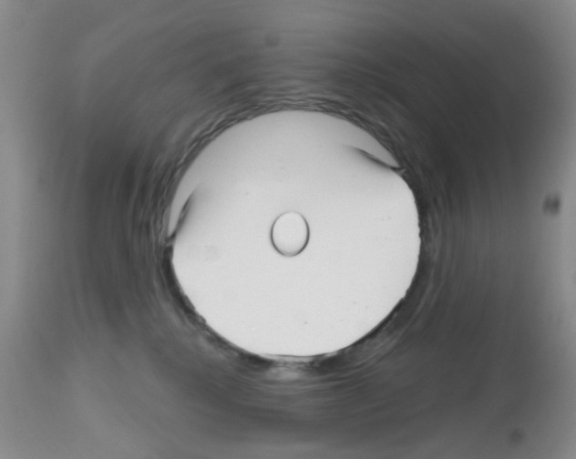 X0000112480280200909281117