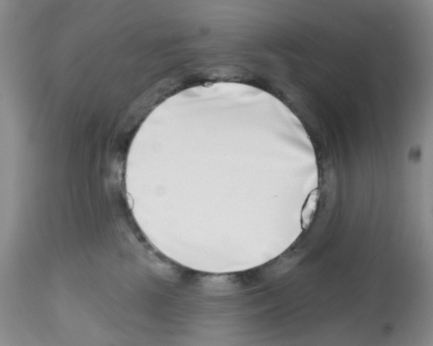 X0000112480281200909281117