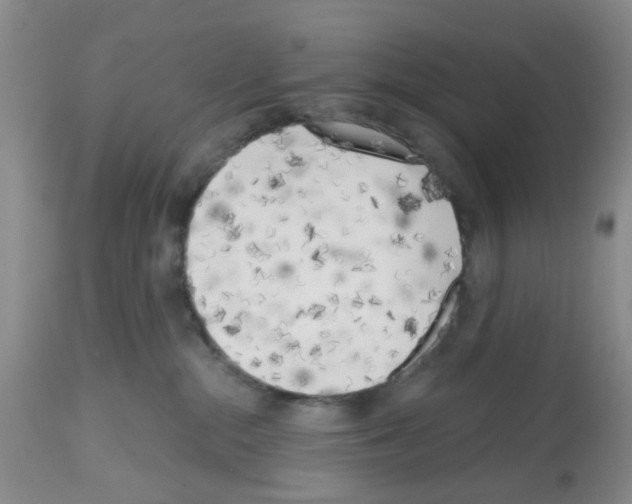 X0000112480284200909281117