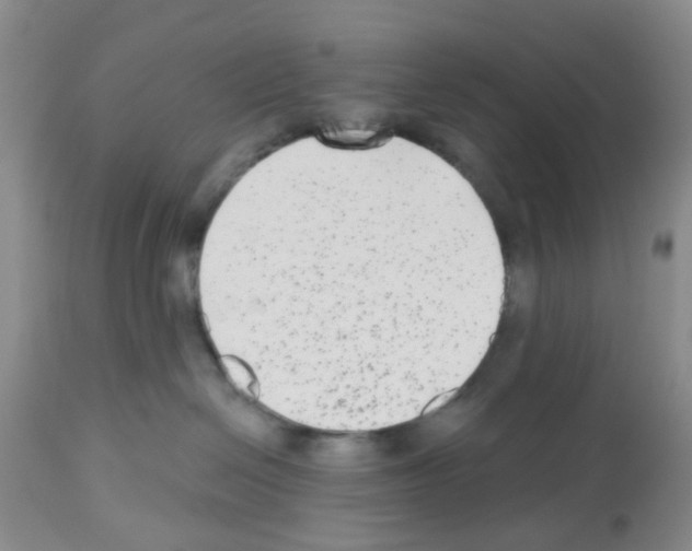 X0000112480286200909281117