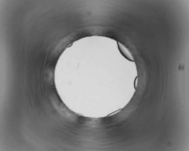 X0000112480288200909281117