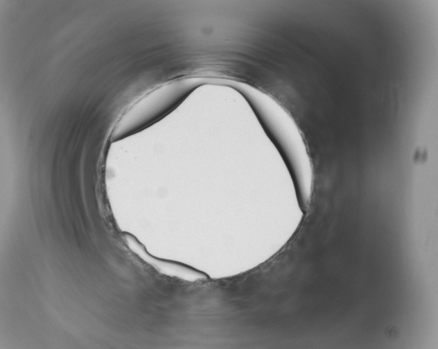 X0000112480289200909281116