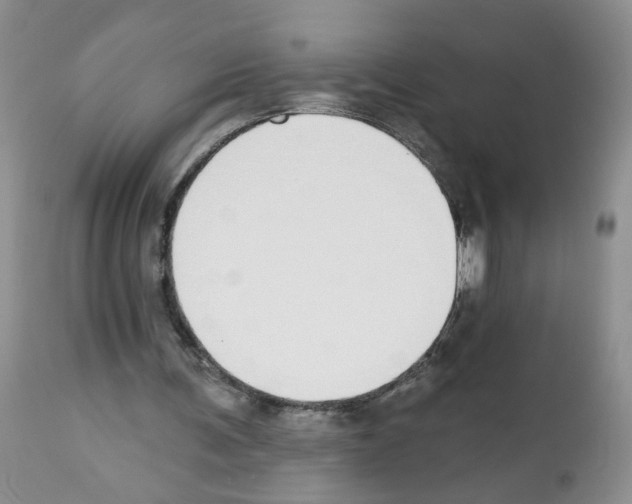 X0000112480291200909281116