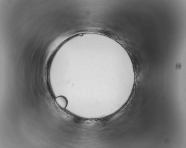 X0000112480294200909281116