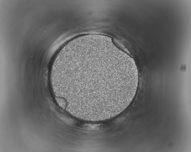 X0000112480295200909281116