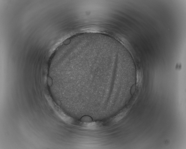 X0000112480301200909281116