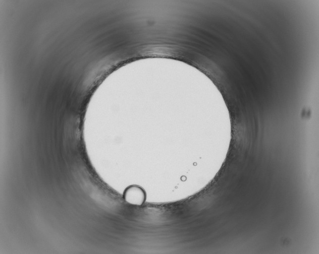 X0000112480302200909281116