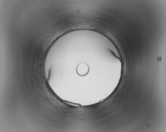 X0000112480305200909281116