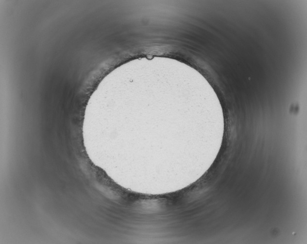 X0000112480307200909281116