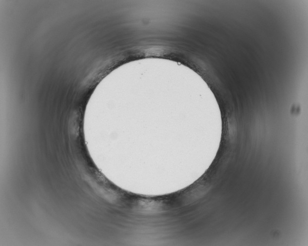 X0000112480311200909281116