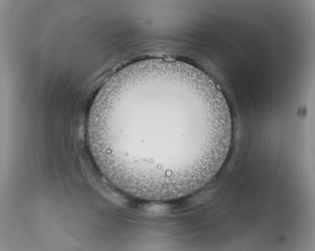 X0000112480313200909281116