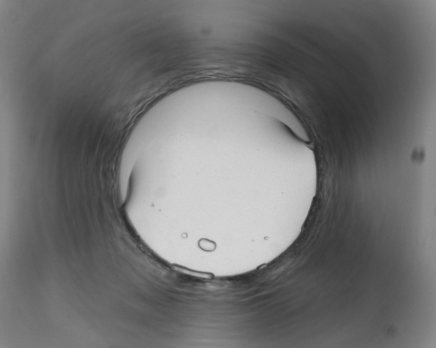 X0000112480317200909281116