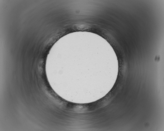 X0000112480319200909281116