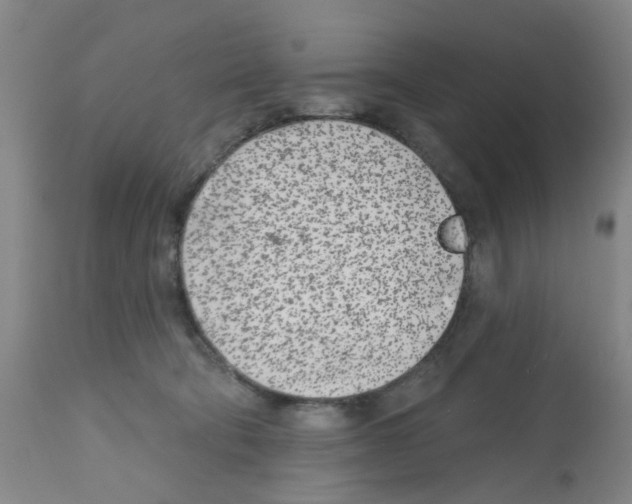 X0000112480322200909281116