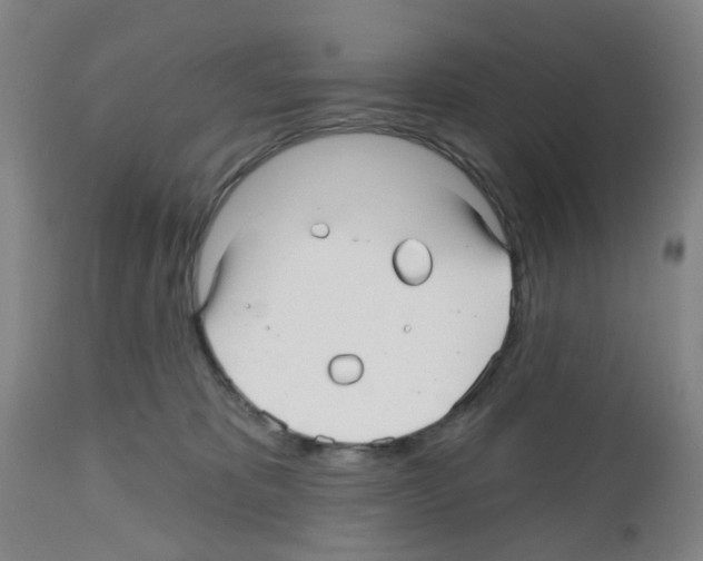 X0000112480325200909281116