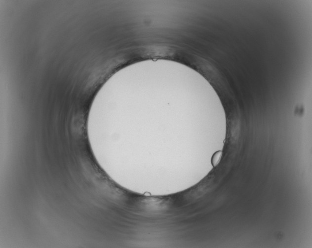 X0000112480326200909281116