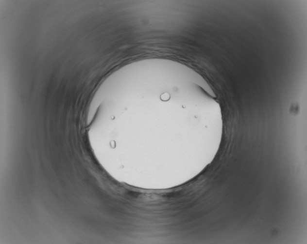 X0000112480327200909281116