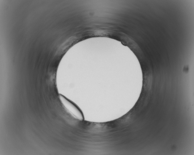 X0000112480329200909281116