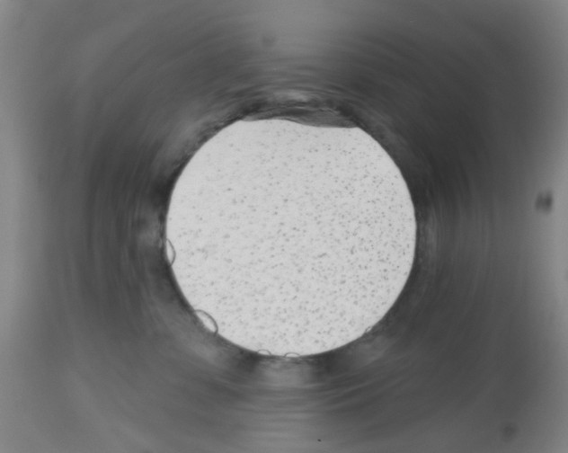 X0000112480331200909281116