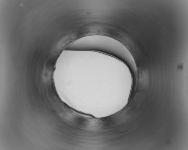 X0000112480333200909281115