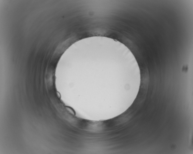 X0000112480334200909281115