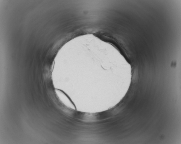 X0000112480335200909281115