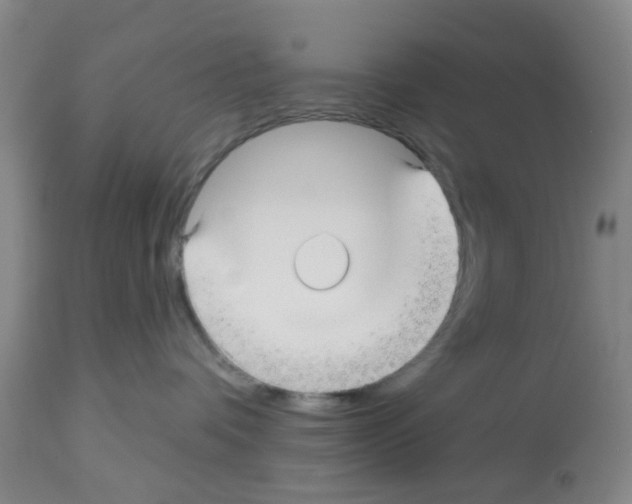 X0000112480336200909281115