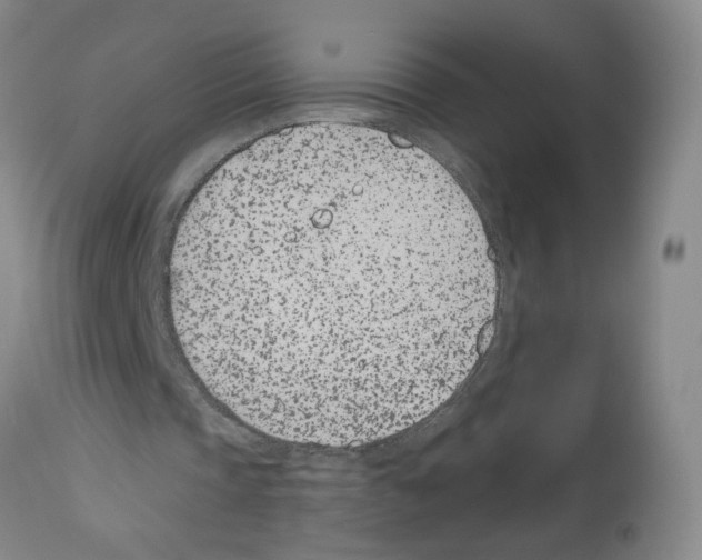 X0000112480337200909281115