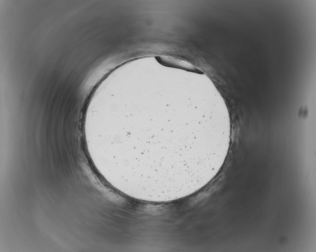 X0000112480341200909281115