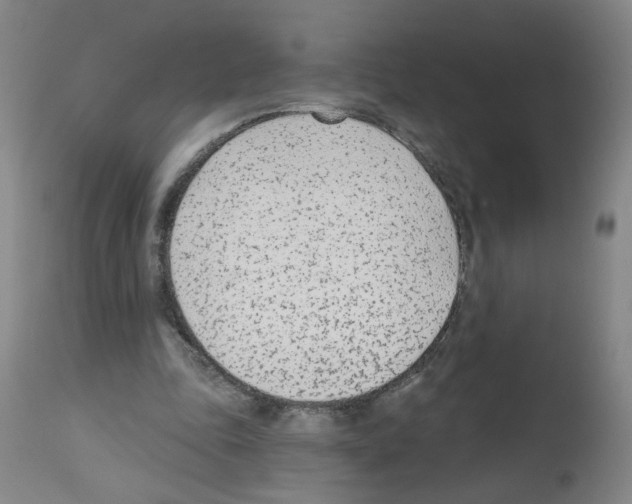 X0000112480343200909281115