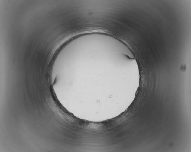 X0000112480350200909281115