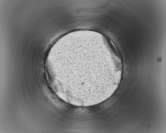 X0000112480354200909281115