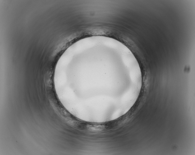 X0000112480359200909281115