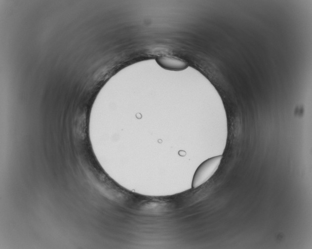 X0000112480364200909281115