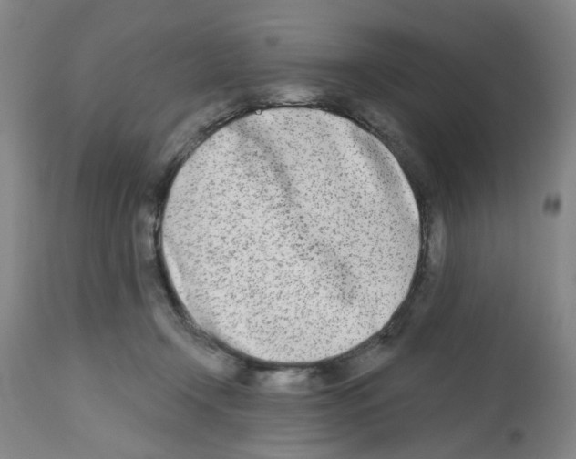 X0000112480366200909281115