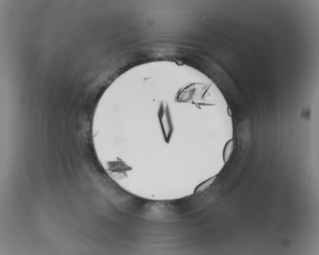 X0000112480372200909281115