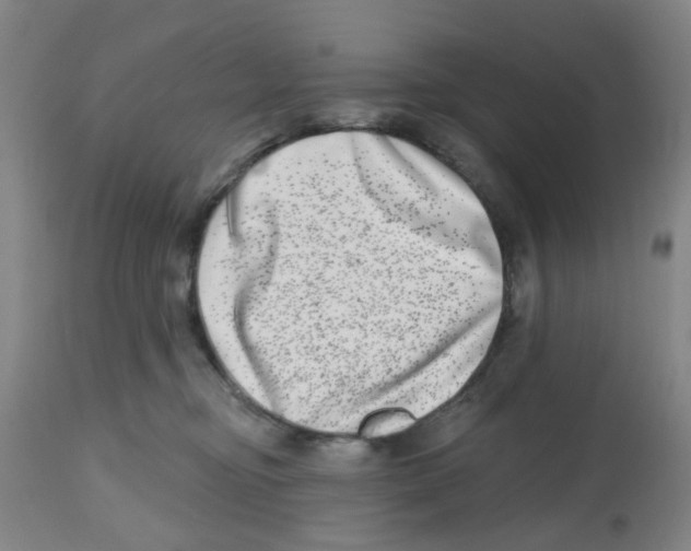 X0000112480374200909281115