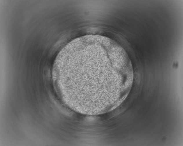 X0000112480375200909281115