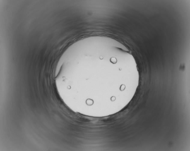 X0000112480376200909281115