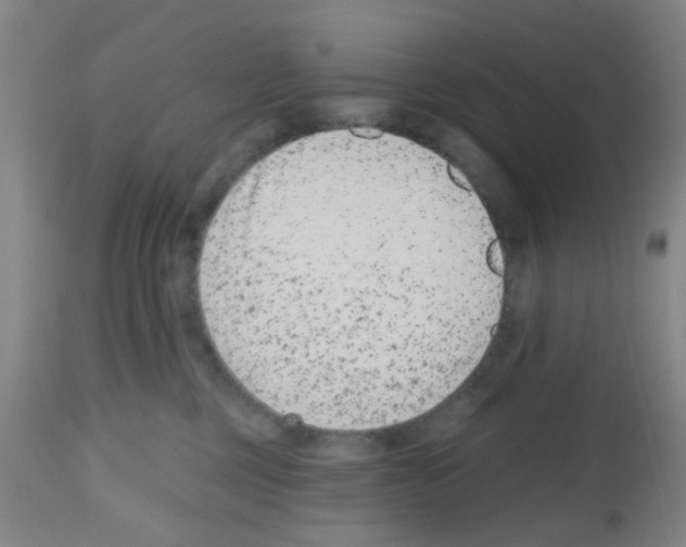 X0000112480377200909281115