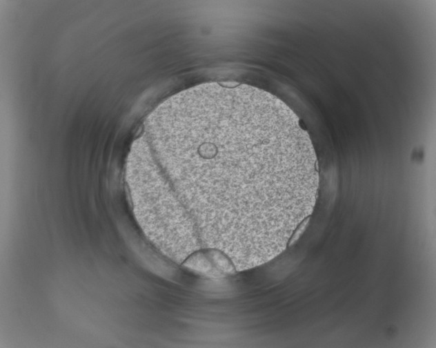 X0000112480381200909281115