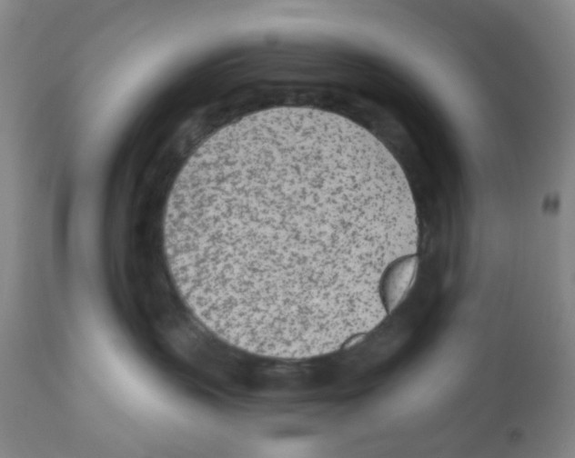 X0000112480383200909281115