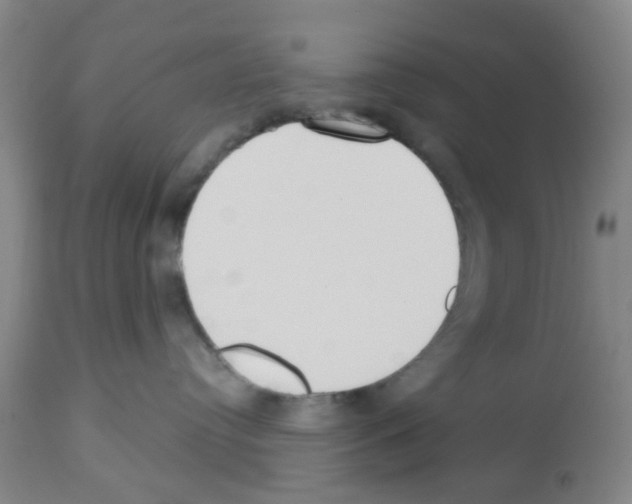 X0000112480384200909281115