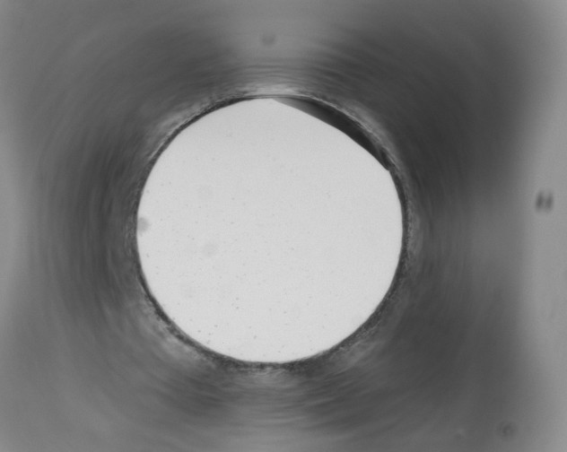 X0000112480385200909281115