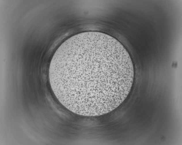 X0000112480386200909281115