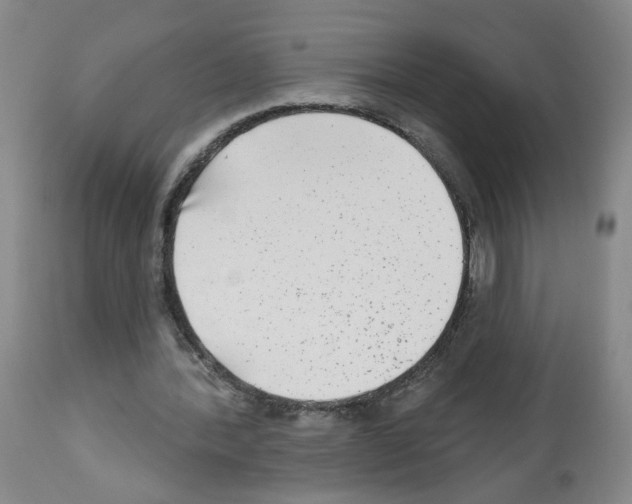 X0000112480388200909281115