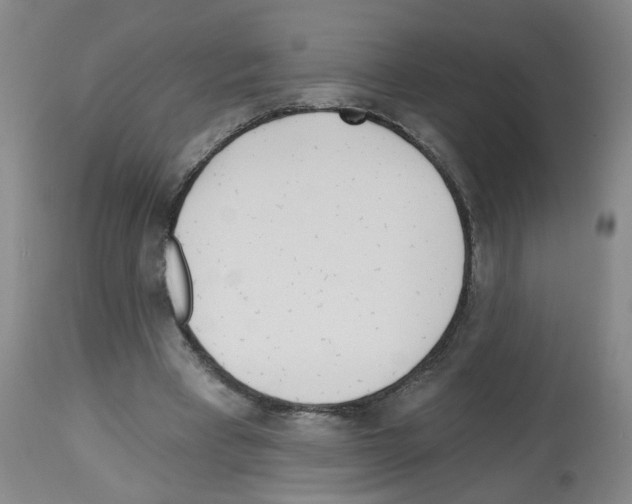 X0000112480393200909281114