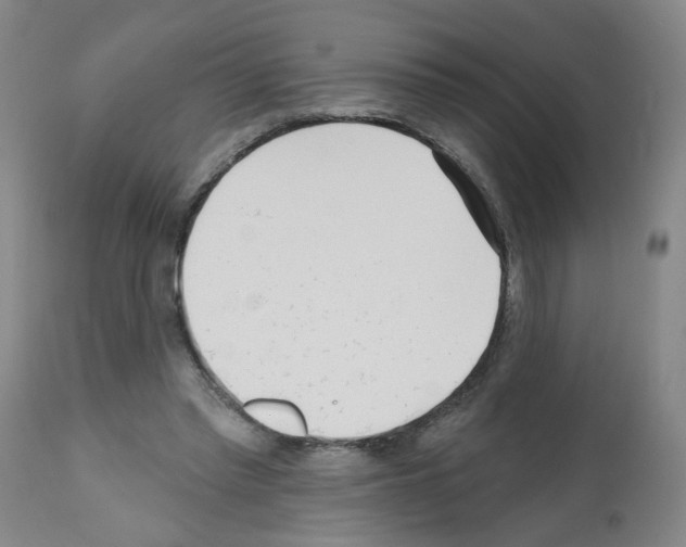 X0000112480397200909281114