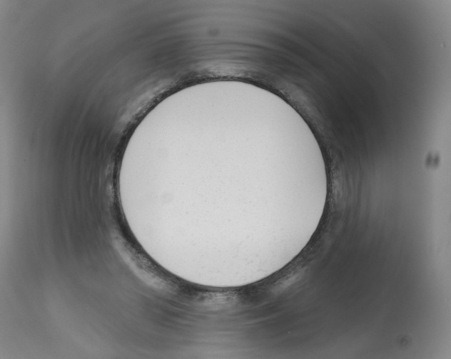 X0000112480398200909281114