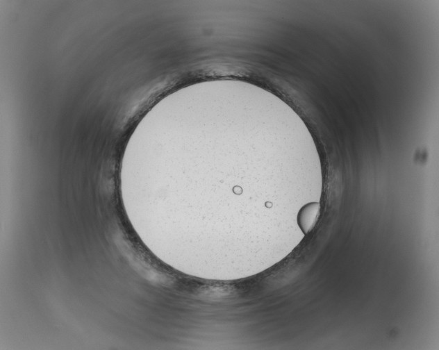 X0000112480402200909281114